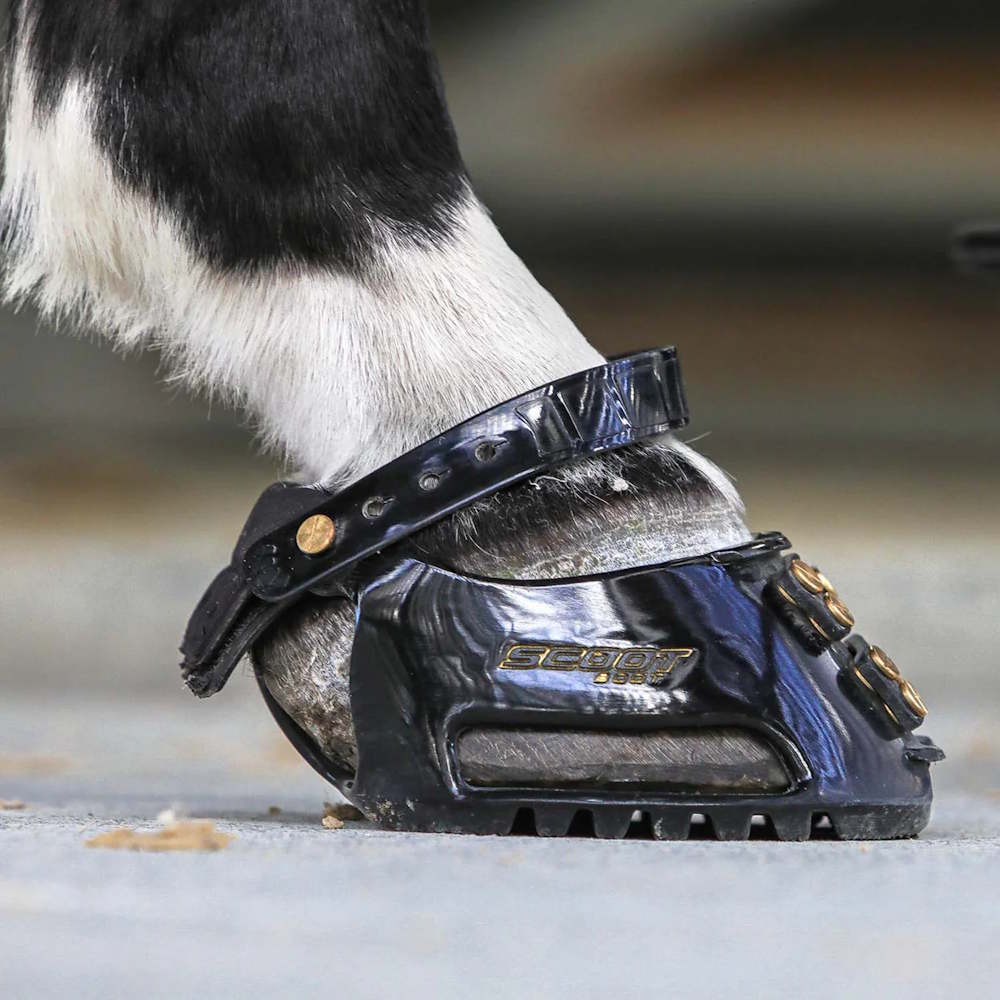 Scootboot Classic - Hoofboots til heste